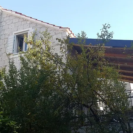 Koralj Apartment