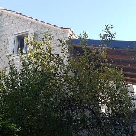 Koralj Daire